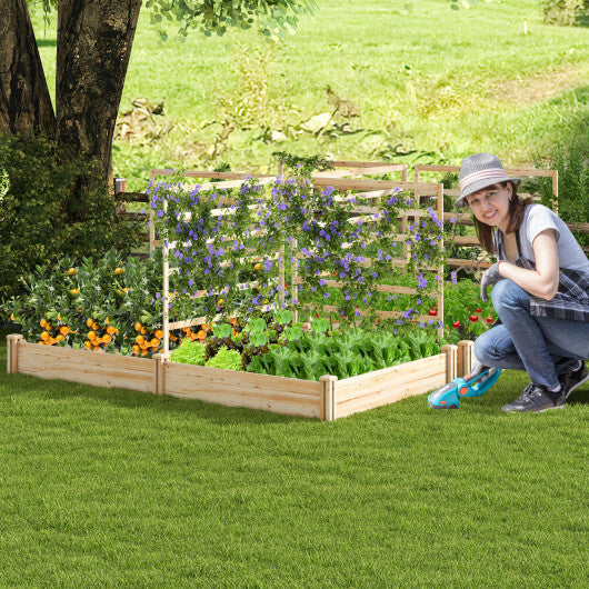 Raised Garden Bed with 2 Planter Boxes and 3 Trellis-Natural