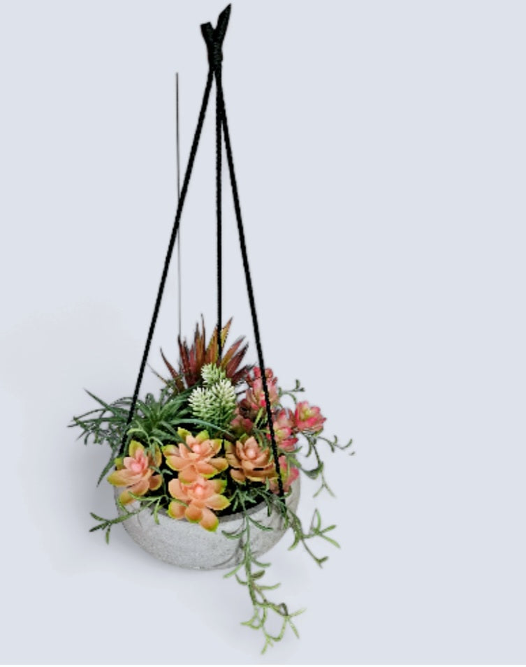 Hand Crafted Succulent Hanging Planter