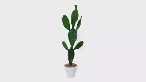 37” Cactus Artificial Plant