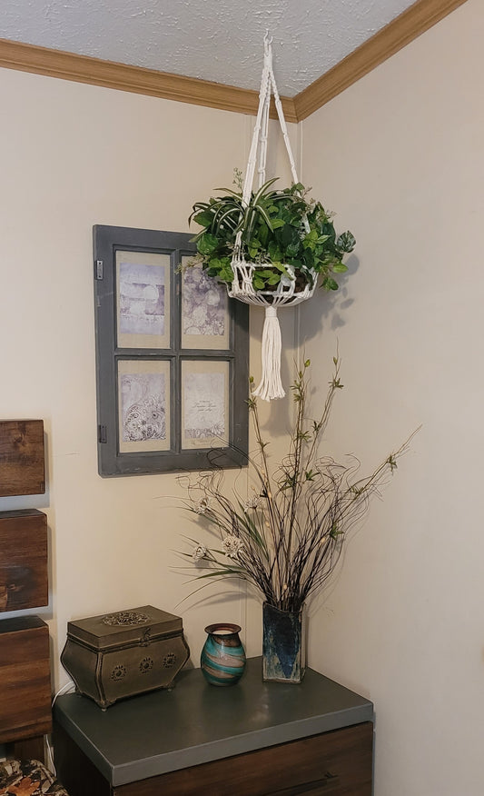 Large Mixed Greens In Hanging Basket