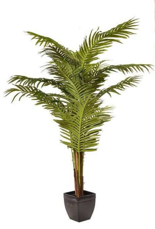 5FT PARADISE PALM W/PLASTIC POT LIGHT GREEN