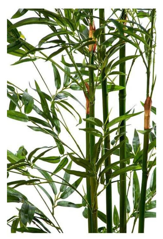 5FT MINI BAMBOO TREE IN POT GREEN