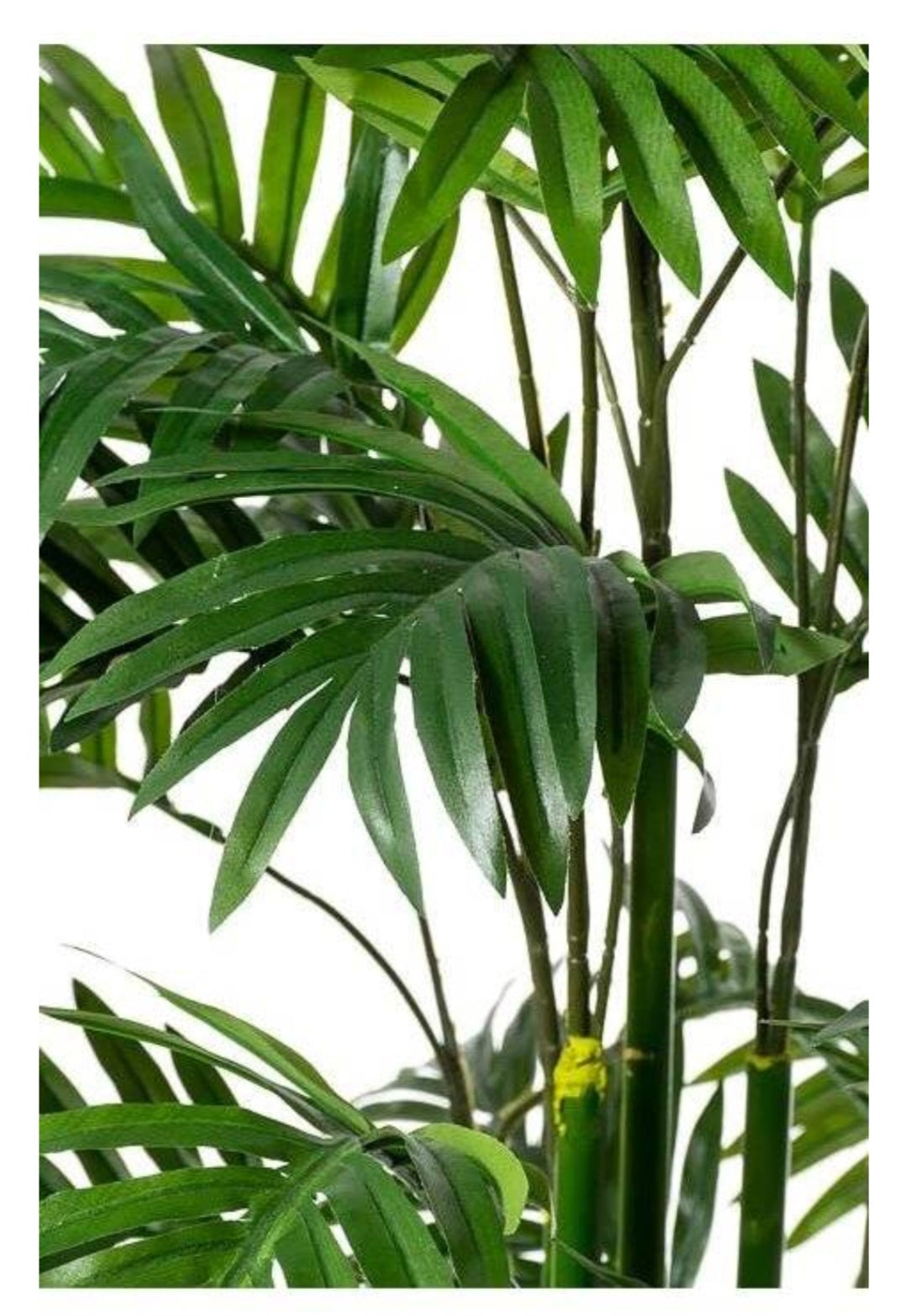 4FT ARECA PALM BUSH IN BASKET GREEN