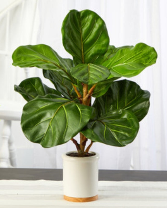 21" Fiddle Leaf Tree