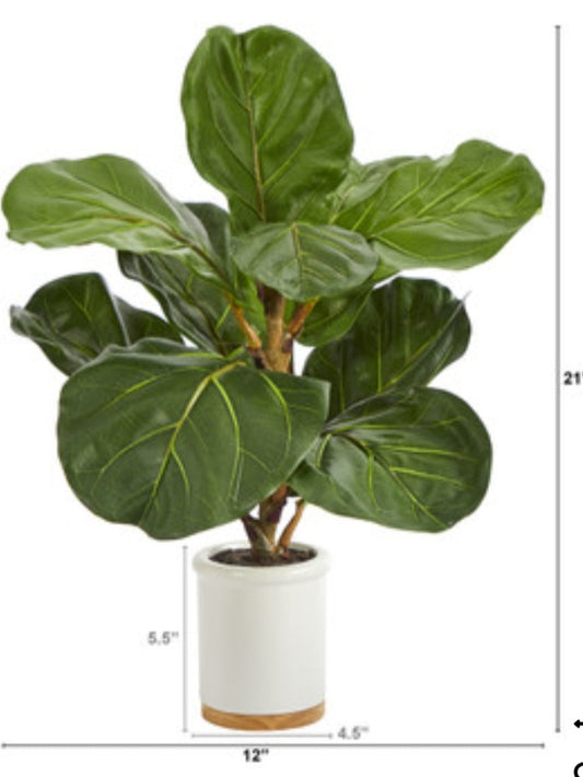 21" Fiddle Leaf Tree