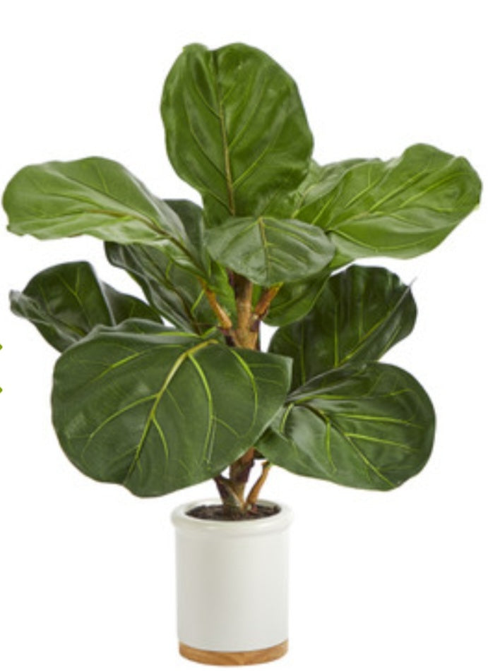 21" Fiddle Leaf Tree