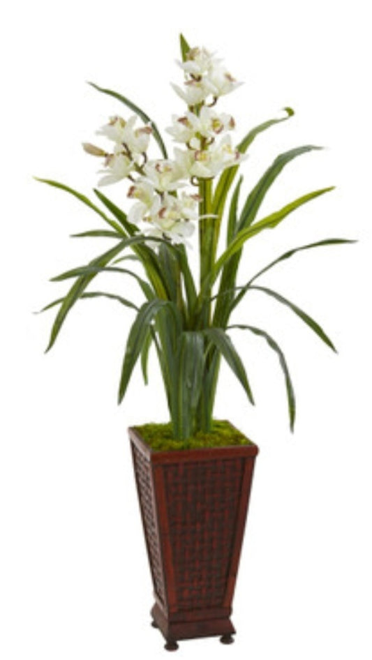 49" Cymbidium Orchid Arrangement