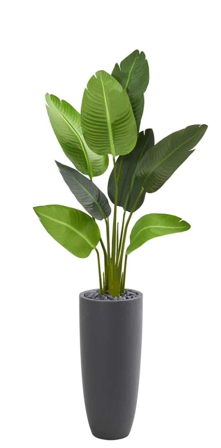 5.5’ Traveler's Palm Artificial Tree in Gray Planter