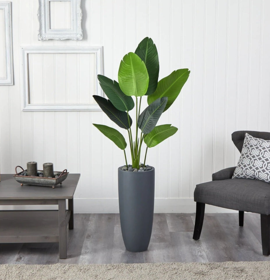 5.5’ Traveler's Palm Artificial Tree in Gray Planter