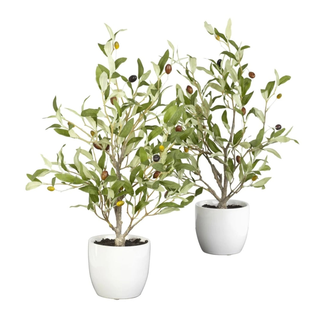 18" Olive Silk Tree w/Vase (Set of 2)