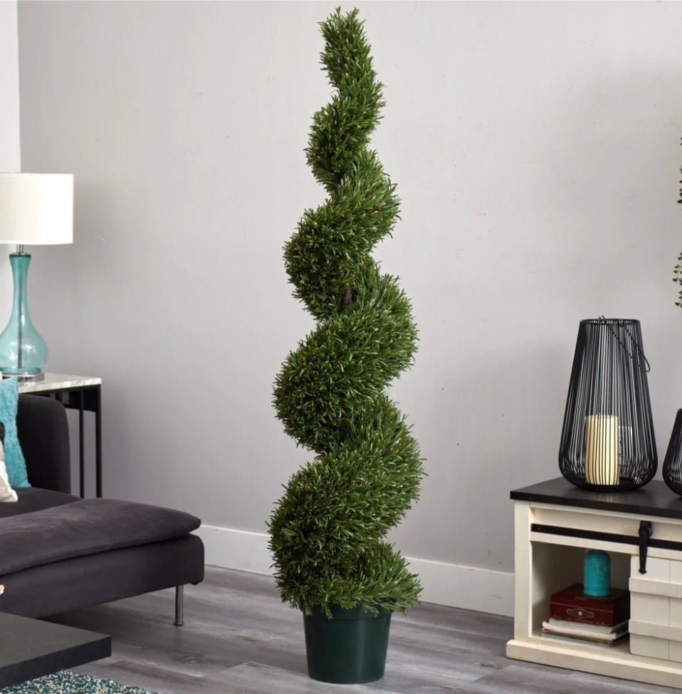 6' Rosemary Spiral Tree (Indoor/Outdoor)