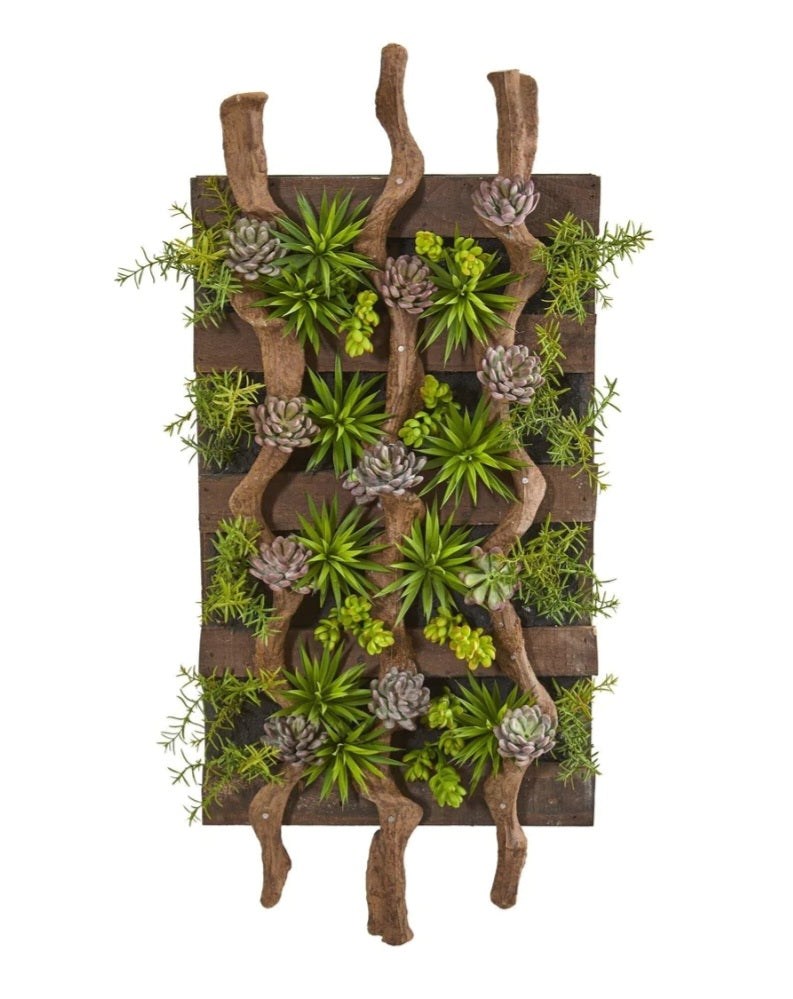 41” x 19” Mixed Succulent Artificial Living Wall