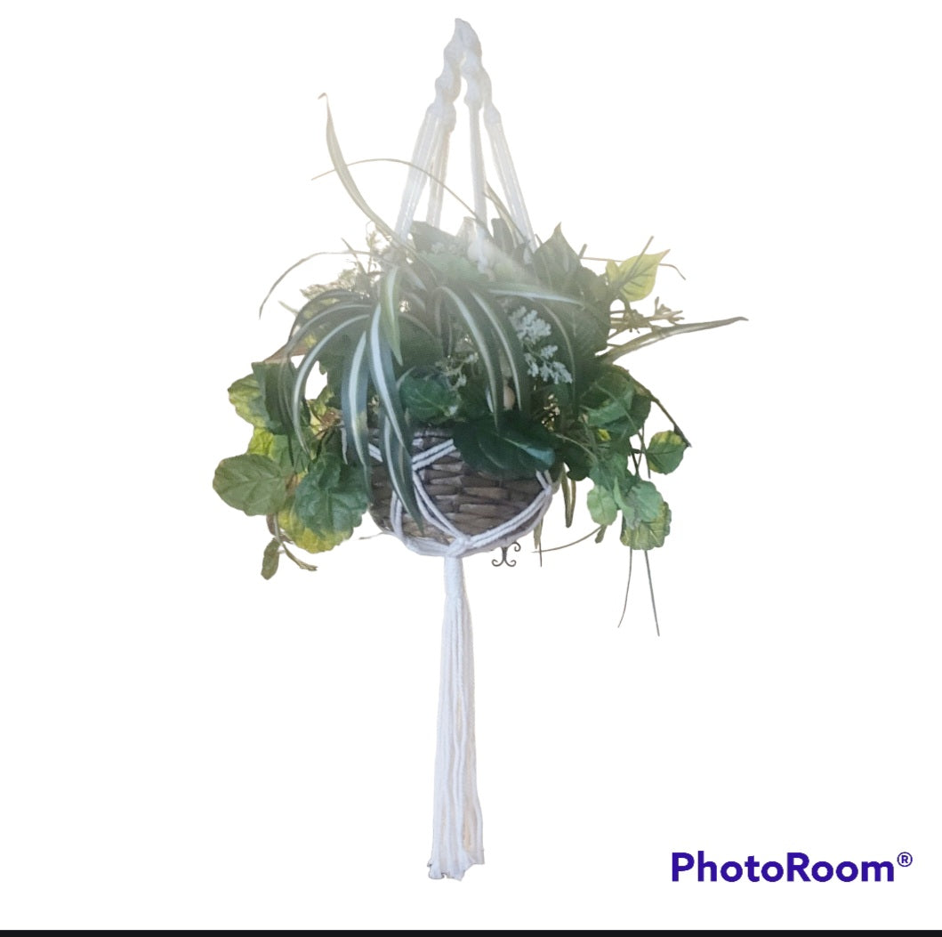 Mixed Greens in Hanging Basket